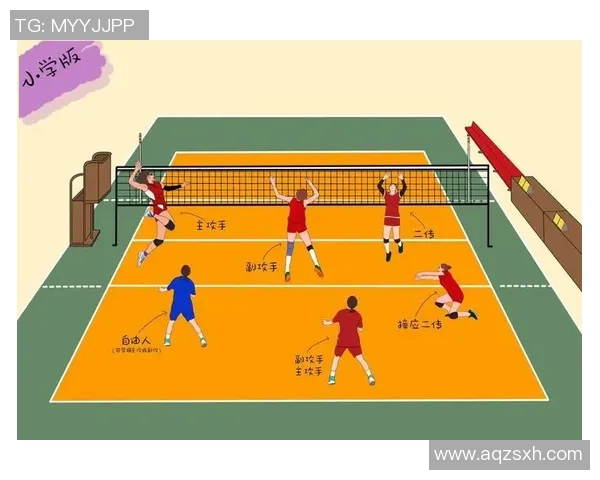 武汉排球队的控制革新探索与实践：重塑团队管理与竞技表现的全新路径