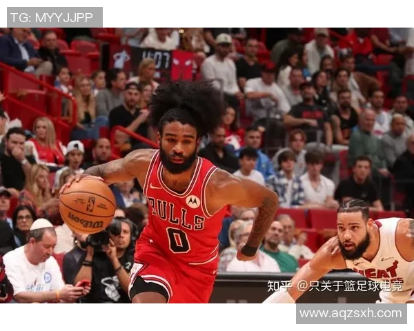 2009年NBA季后赛热火与公牛激战回顾精彩瞬间与球员表现分析 2009年NBA季后赛热火与公牛激战回顾精彩瞬间与球员表现分析