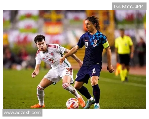 克罗地亚与威尔士2019年精彩对决回顾与分析