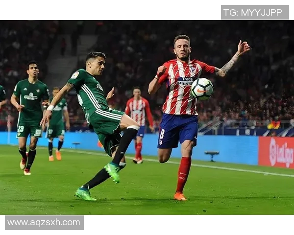 奥斯与坎布尔对决分析胜负走势及比赛预测 奥斯与坎布尔对决分析胜负走势及比赛预测