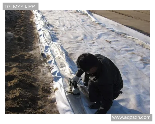 岗山绿雉与山形的生态对比探讨与保护策略研究