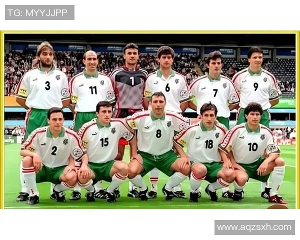 2010年世界杯经典对决荷兰队与德国队的精彩较量回顾