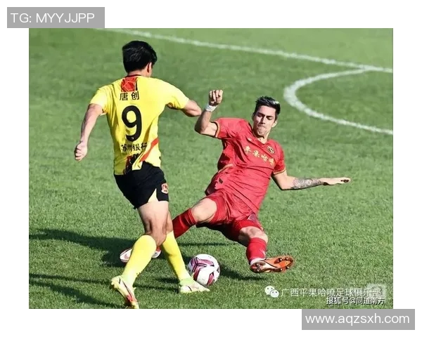 北海道与鹿岛足球赛精彩直播全程回顾与分析