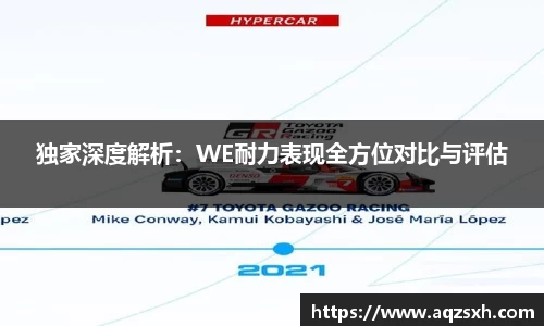 独家深度解析：WE耐力表现全方位对比与评估